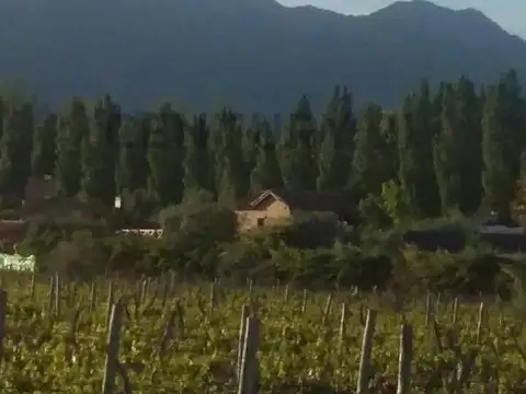 ROQUE SAENZ PEÑA 5700, Piso 0