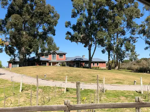 Chacras en venta en El Pinar, proximo a Carmelo, fracciones con excelentes vistas, financiacion
