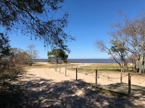 El pinar
