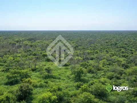 Campo ganadero con agua permanente  10400 ha | R.N. 81 | Rivadavia, Salta