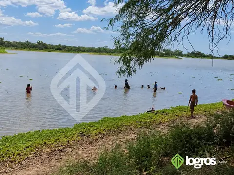 Campo ganadero con agua permanente  10400 ha | R.N. 81 | Rivadavia, Salta