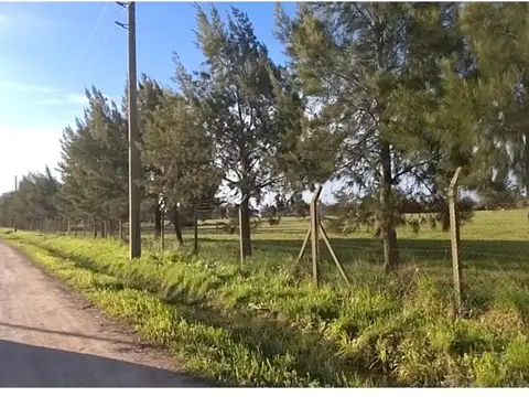 Terreno en Venta 36  mts Fondo