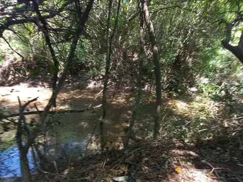 Terreno en Venta de 1000,0 m2