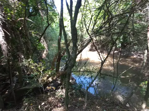 1 HECTAREA EN VENTA SOBRE RIO SOMBRERO