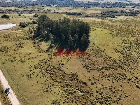 Chacra 5 hectareas - 100