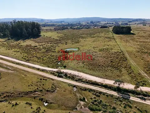 Chacra 5 hectareas - 100