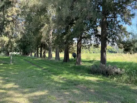 Terreno en Venta de 130000,0 m2