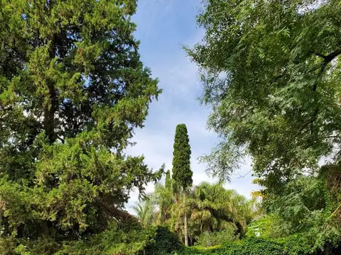 Terreno - Barrio Belgrano