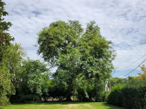 Terreno en Venta en Belgrano, USD 80.000