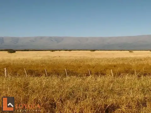 Campo en Venta Agrícola