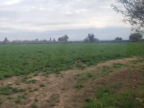 ruta 38