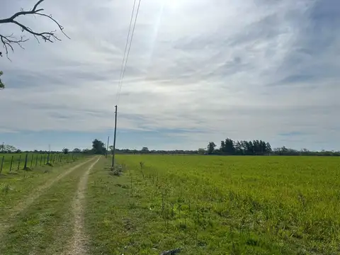 Ruta  11