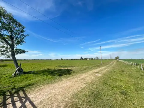 Ruta  11