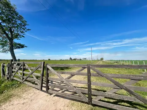 Campo 60 hectareas en venta ganadero mixto