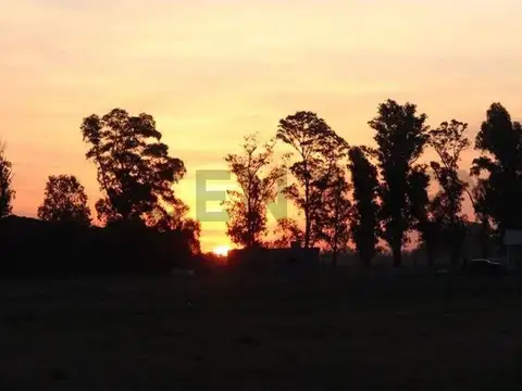 Venta Lote 108 - Barrio Laguna, Tres Pinos, General Rodríguez