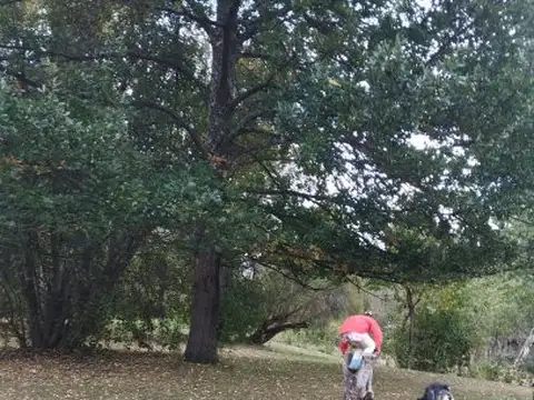 Casa 2 ambientes con 1 baño