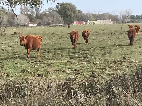 Ruta 3 km 214 , Piso 0