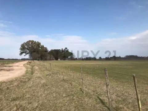Ruta 3 km 214