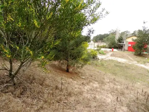 Av del plata y El chaja 100