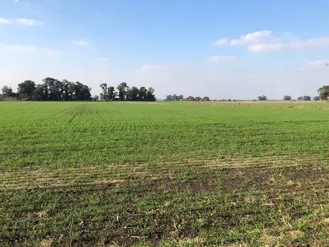 Campo - Venta - Argentina, Marcos Paz