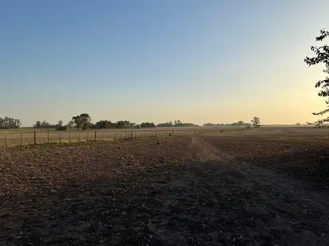 Campo - Venta - Argentina, Marcos Paz