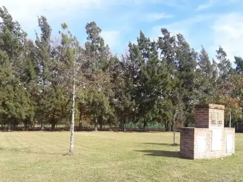 Segunda Etapa El Cardal