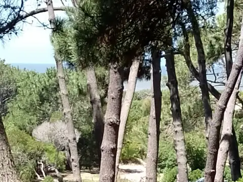 Terreno en Venta, FOS 0,3