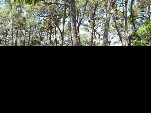 Terreno en Venta de 3770,0 m2