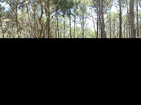 Ultimo Hotelero con vista al mar 3700 m2