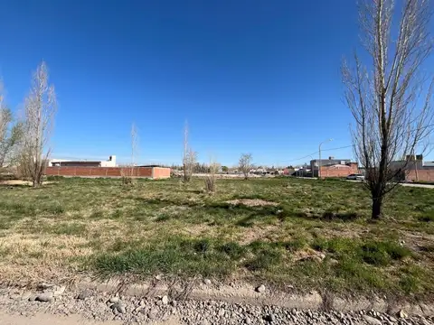 Terreno en Venta en Villa Regina, USD 25.000