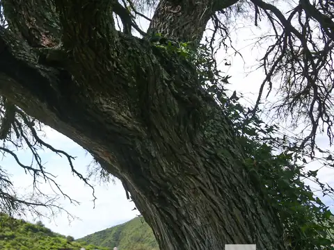 Lote esquina Barrio Los Milagros Santa Rosa de Calamuchita