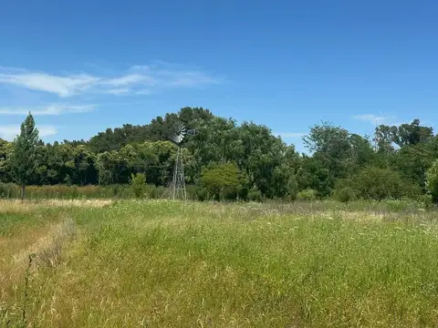 Campo en venta de 1 ha. en Altamira, Mercedes B.