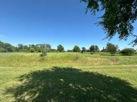 Campo en venta de 1 ha. en Altamira, Mercedes B.