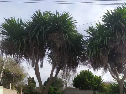 Terreno en venta en Santa Clara Del Mar