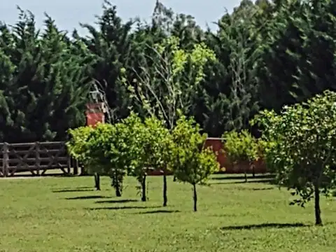 Casa en Venta con 10 cocheras