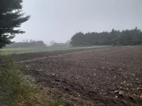 31°01'32.3"s 64°05'16.1"w