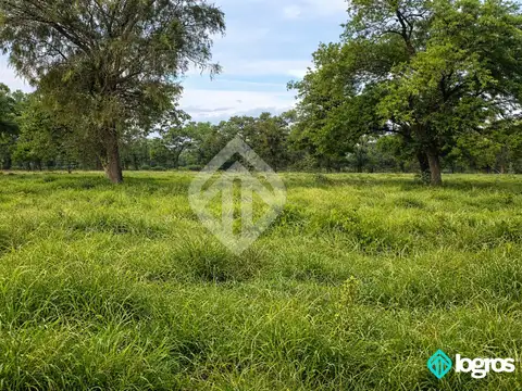Ruta Nacional 16