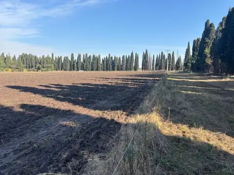 2,5 has de campo por menos precio que un terreno.