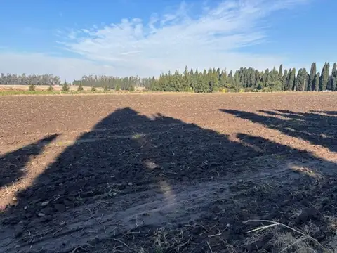 Campo en Venta de 2,50  ha