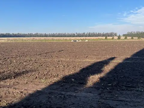 Estancia 3000