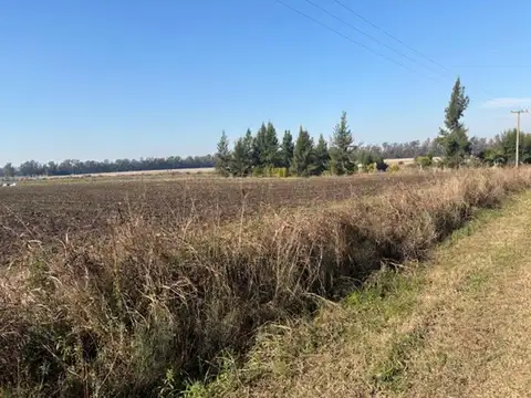 2,5 has de campo por menos precio que un terreno.