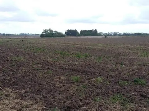 Campo en Venta de 9  ha