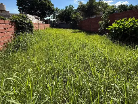 Los arrayanes al 2400