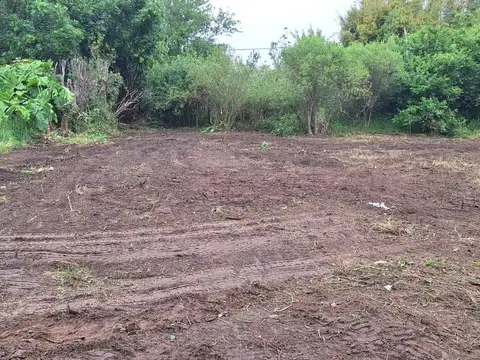 Las Margaritas 3286