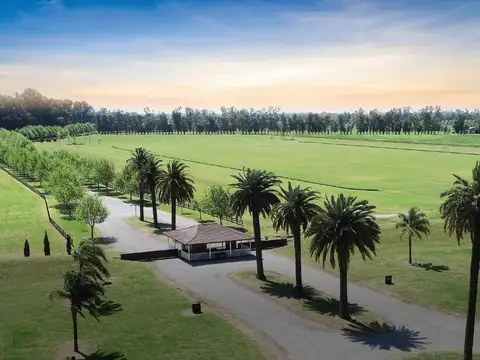 Venta Lote a la  laguna  1539m Zona 7 Technopolo