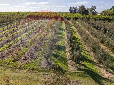 VENTA CHACRA EN MELILLA 4,7 HAS CNO LOS PIRINCHOS