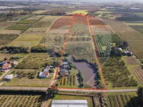 Camino los Pirinchos 2300