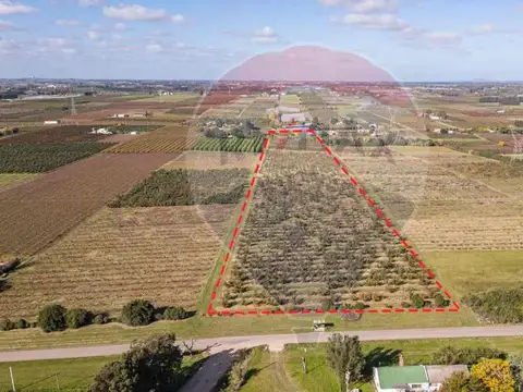 VENTA CHACRA EN MELILLA 4,7 HAS CNO LOS PIRINCHOS