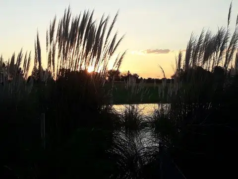 Terreno en Venta de 1500,0 m2