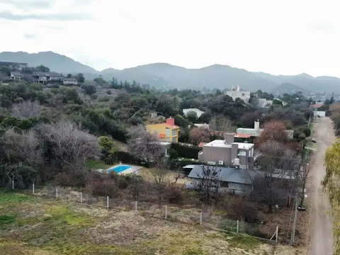 LOS PIQUILLINES 100